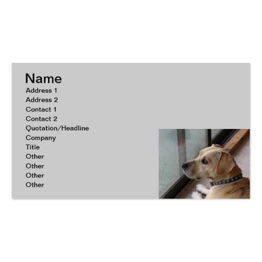CA- Pet Sitting Business Cards (front side)