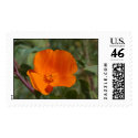CA Poppy postage