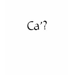 Ca'? t-shirts