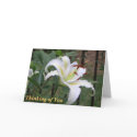 CA- White Lilly Sympathy card