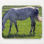Caballo árabe tapete de ratón