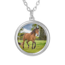 Caballo cuarto joven del ~ del collar