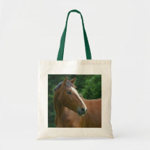 Caballo de bahía con el resplandor que mira detrás