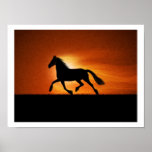Caballo en puesta del sol poster