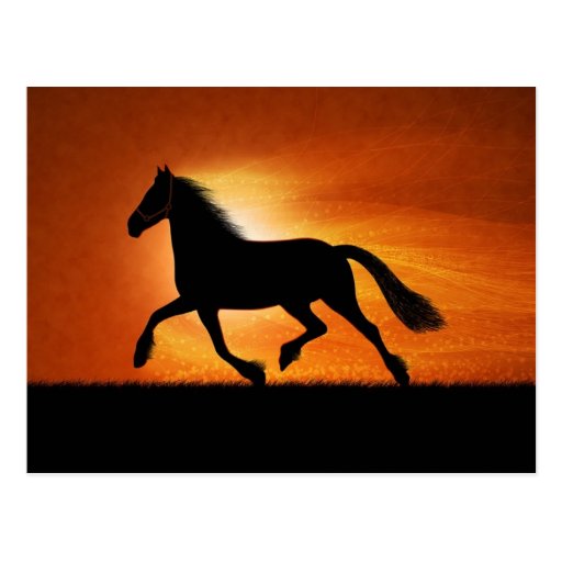 Caballo en puesta del sol tarjetas postales