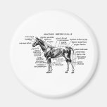 Caballo Imanes Para Frigoríficos