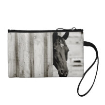 Caballo negro curioso
