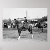 Caballo número seis: 1914 posters
