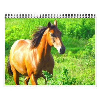 Caballos Calendario Caballos Calendario