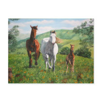 caballos postcards by DairaEE caballos postcards