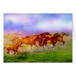 CABALLOS SALVAJES FELICITACIONES