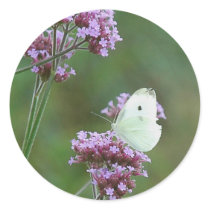 Cabbage Butterfly stickers by littlewingdesign Cabbage Butterfly stickers