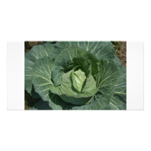 Cabbage Custom Photo Card