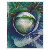 Cabbage letterhead by jarthurdavis Cabbage letterhead