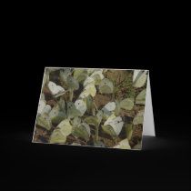 Cabbage Moths Greeting Card