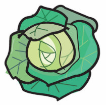 cabbage photo sculptures by doonidesigns cabbage photo sculptures