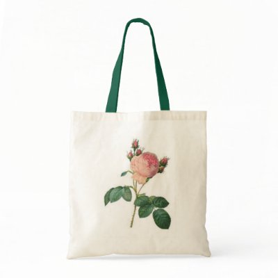 Cabbage Rose by cowboyannie