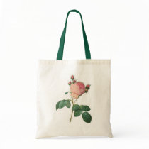 Cabbage Rose by cowboyannie Cabbage Rose