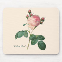 "Cabbage Rose" mousepads
