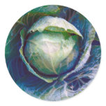 Cabbage Round Sticker