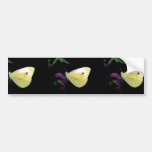 Cabbage White butterfly on Rough blazingstar Bumper Stickers