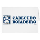 Cabeã‡Udo Boiadeiro Blue cards