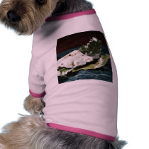Cabecou Feuille Cheese Wrapped In Chestnut Leaves pet clothing