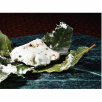 Cabecou Feuille Cheese Wrapped In Chestnut Leaves photo sculptures