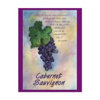 Cabernet Sauvignon Wine Postcard postcard