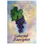 cabernet, sauvignon, wine, grapes, cabernet