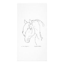 Cabeza de caballo tarjeta fotografica  