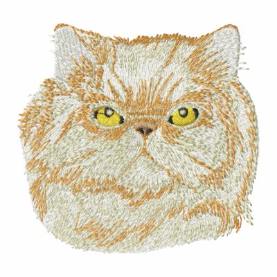 Cabeza del gato persa Cabeza del gato persa