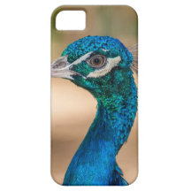 Cabeza del pavo real iPhone 5 Case-Mate coberturas