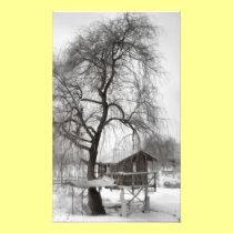Cabin photo print photography