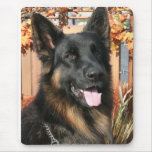 Cabo - German Shepherd Photo #4 Mousepad