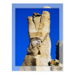 Cabo San Lucas 01 Postcard