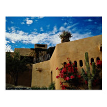 Cabo San Lucas, Baja, Mexico  flowers postcards
