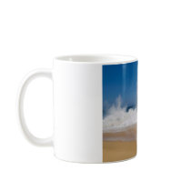 Cabo San Lucas beach 22 Coffee Mugs