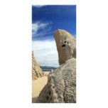 Cabo San Lucas Mexico Rack Card