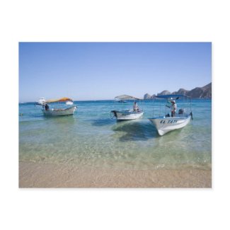 Cabo Water Taxis postcard
