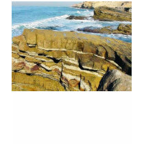 Cabrillo Tide Pools Ocean Waves t-shirts