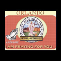 CAC ORLANDO) MOJISOLA GBADAMOSI postcards