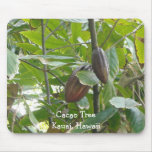 Cacao Tree, Kauai, Hawaii Mousepad