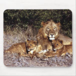 cachorro de leones hermoso alfombrillas de ratón