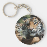 Cachorro de tigre llaveros personalizados