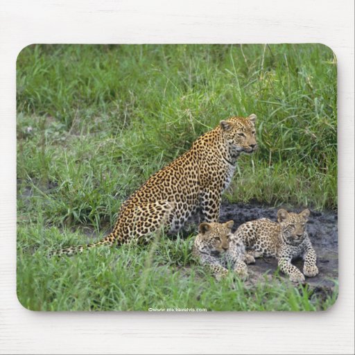 cachorro hermoso de los leopardos alfombrilla de raton