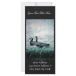 Cackling Canada goose pair Custom Rack Card