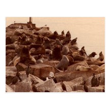 cacophany of sea postcard