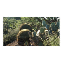 Cacti at Botanical Garden San Miguel de Allende Me Photo Card Template
