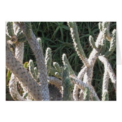 Cacti Greeting Cards by ggbythebay